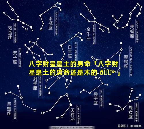 八字财星是土的男命「八字财星是土的男命还是木的 🐺 」